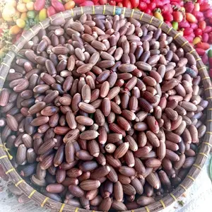 Biji Melinjo Wijil Tangkil Tua fress baru panen 1 kg Asli Serang banten