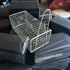 Perangkap Tikus Jebakan Tikus Kawat Besi Galvanis Mudah Dalam Pemakaian Aman Anti Karat Dilengkapi 2 Buah Pir Pegas Kuat