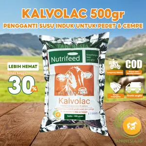 Susu Kalvolac Original 500 Gram Kalvolak NutriFeed Pengganti Susu Induk Ternak Susu Kambing Sapi
