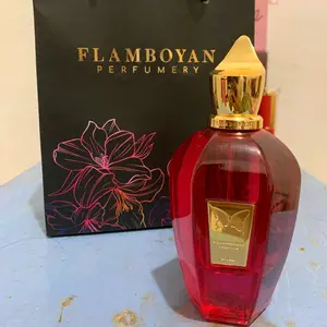 FANTASY FRUIT PARFUM FLAMBOYAN FULL BOTTLE 60 ML / 100 ML EDP AROMA FRUTY FRESH UNISEX