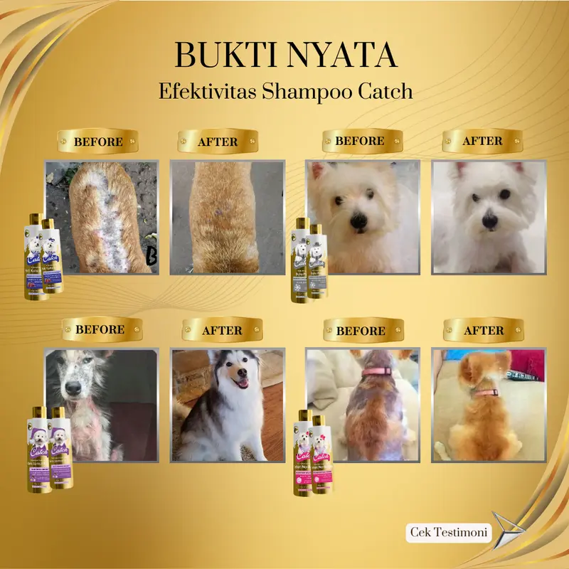 Catch - Shampoo Anjing Anti Kutu , Pelebat Anti Rontok , Solusi 3-in-1, Bulu Putih 6