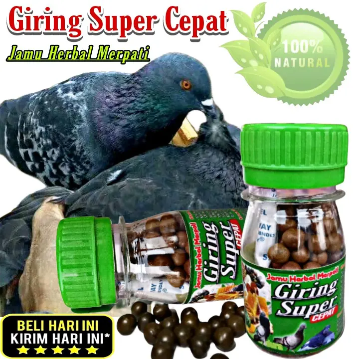 PROMO !!! 120 BUTIR PIL HITAM JAMU MERPATI SUPER GIRING KERAS paling ampuh, jamu ginseng teki liur walet 1
