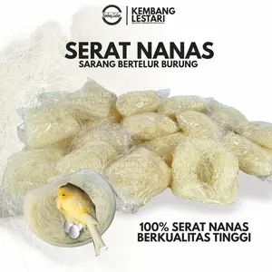 SERAT NANAS SARANG BURUNG KENARI / ALAS GLODOK
