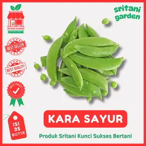 Benih Kacang Kara 35 Biji Sayur Best Quality - Sritani Garden