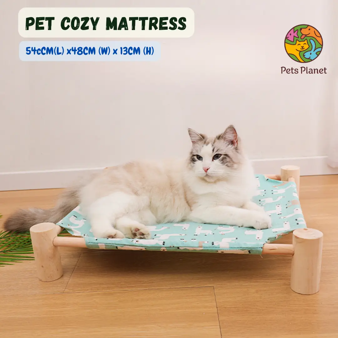 Hammock Cat Bed | Katil Kucing Kayu Murah | Tempat Tidur Kucing | Cat Wooden Bed | Cat Bed Pet Bed Dog | Hammock Bed