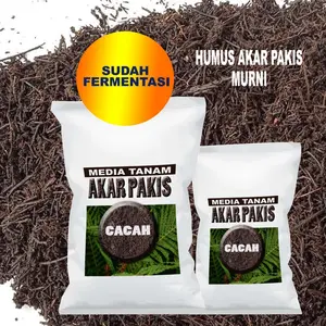 Akar pakis cacah media tanam sterilisasi dan fermentasi trichoderrma 5 Liter sd 20 Liter TR459