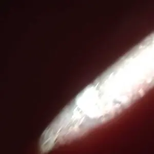 Singlet Tanpa Lengan Motif Raster Unisex Dewasa Gym Santai Trendy Size M L XL XXL Singlet Pria Wanita Ideal untuk Aktivitas Sehari-hari