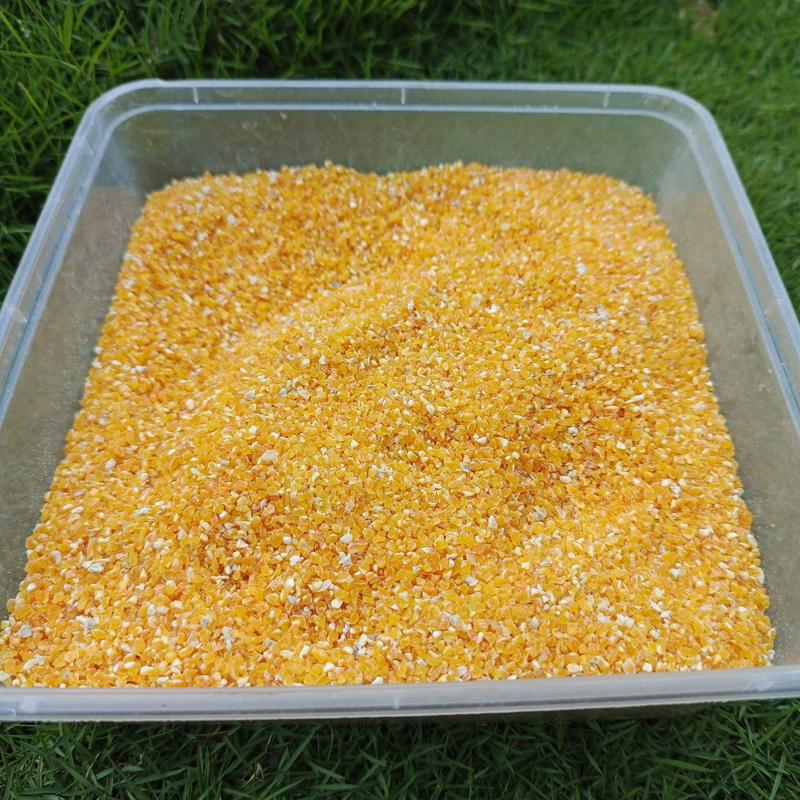Product Introduction of BERAS JAGUNG PREMIUM KHAS MADURA 1Kg  Rice Food 1