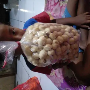 cemilan tahu bulat mini nusa2ri putra tunggal kemasan 1/4kg (250)gram