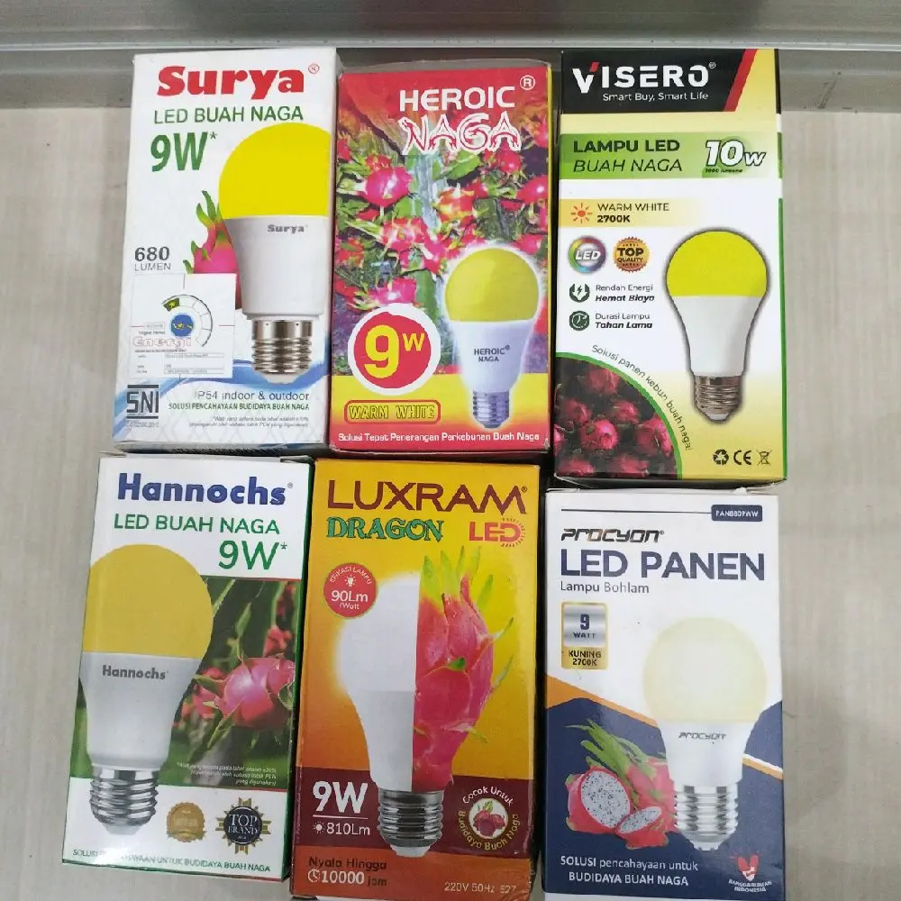 Macam-Macam Led Buah Naga Cahaya Kuning