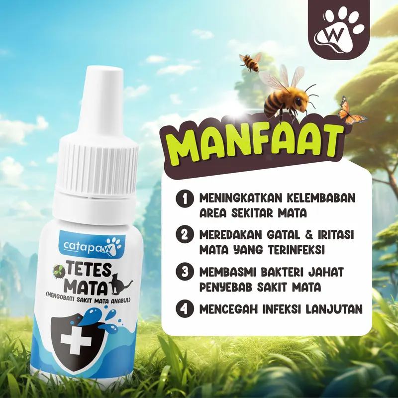 Catapaw Obat Tetes Mata Kucing Anti Infeksi Belekan dan Iritasi obat  mata 1