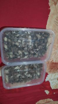 Product Review of RIJEK PATAHAN ASTOR 500GRAM  / 250GR CHOCOLATE SNACK COKELAT FOOD from A**a P**i 0