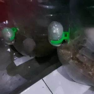 Tempat Minum Hewan Kecil Hamster 60ml Premium