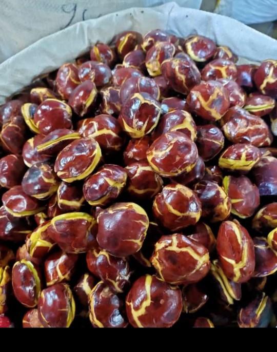 Product Introduction of Timbangan isi jengkol 1kg segar dan fres Masakan Makanan Kering Kitchenware buah kering asam potong medan Snack Food 7