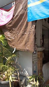 Product Review of Allieuka Paranet 90% Naungan Jaring/Jaring Naungan Coklat Luar Ruangan/Tenda Naungan Halaman Ruang Balkon from j**M 1