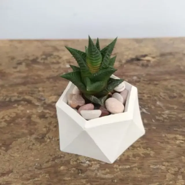 Paket lengkap kaktus sukulen POT HEXASHAPE artificial 2