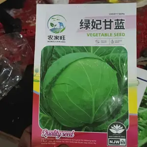 30 butir biji benih tanaman buah melon madu(kemasan repack plastik klip)