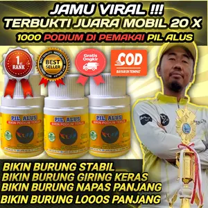 JAMU BURUNG MERPATI PIL ALUS BIKIN FULL STABIL 100 Pil TERBUKTI JUARA NASIONAL MOBILAN Herbal Berkualitas No 1 Tanpa Efek Samping