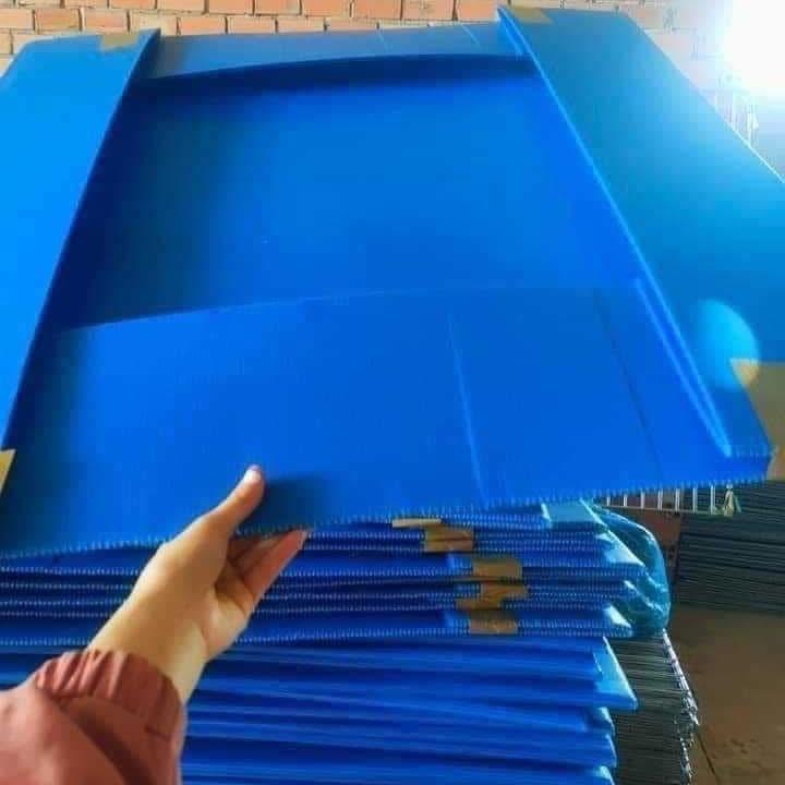 Khay chuồng gà, khay nhựa chuồng gà, khay đựng cát 2