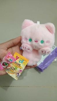 Product Review of Plushie Keyring Doll Enhypen from L**h 1