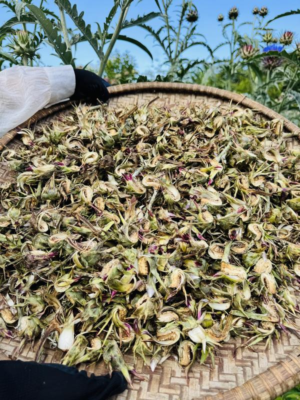 Hoa Atiso SaPa Sấy Khô - Gói 250g đến 1kg