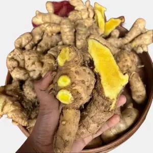 Rempah Rempah Kunyit Mangga Fresh 1kg Temu Mangga Segar Kunir Putih Bahan Penyedap Rasa Masakan Bumbu Dapur kunyit Bubuk Maizena