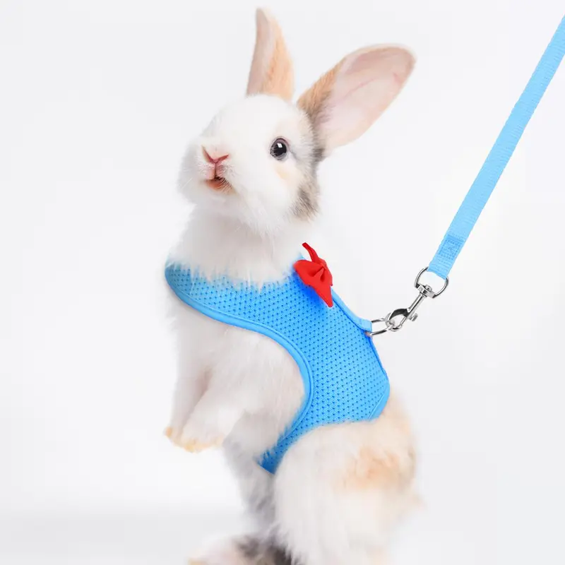 Bow Design Rabbit Harness With Leash, Adjustable Breathable Rabbit Harness, Pet Supplies For Indoor and Outdoor Walking, Small Animal Supplies 1
