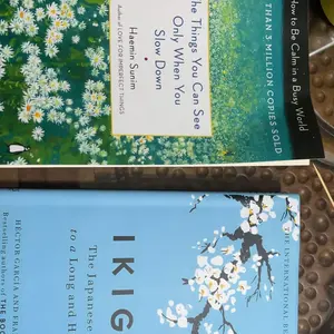 Buku Ikigai: The Japanese Secret to a Long and Happy Life by Héctor García (English/Indonesia)