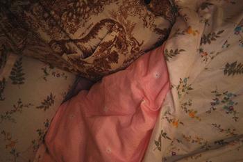 Product Review of NEW DESIGN 4IN1 FULLY GARTERIZED BEDSHEET HIGH QUALITY BEDDING's from G**e 0