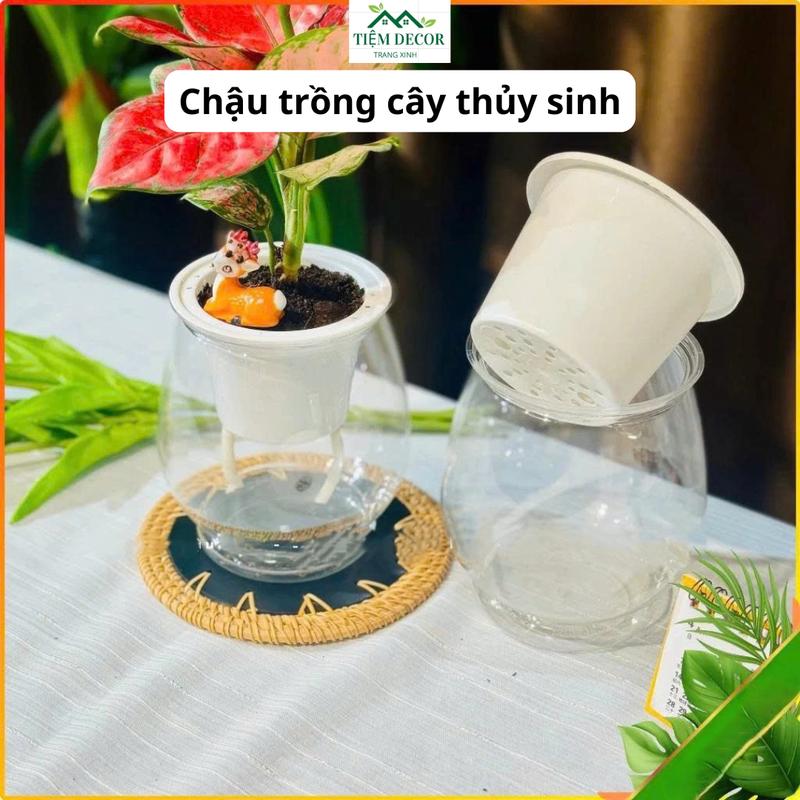 COMBO 2 Chậu nhựa trồng cây thủy sinh thủy canh để bàn chậu tự dưỡng tự tưới trồng hoa cây cảnh đặt bàn