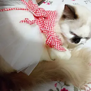 Dress Kucing Edisi Beufly Tutu / Baju Kucing anjing kelinci / Size S-XL / Yuk Belanja Gaes!