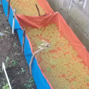 Terpal kolam ukuran 100x50x25 bahan korea A5