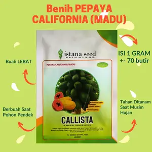 Benih Pepaya California Madu CALLISTA 1 gram - 70 Butir Istana Seed