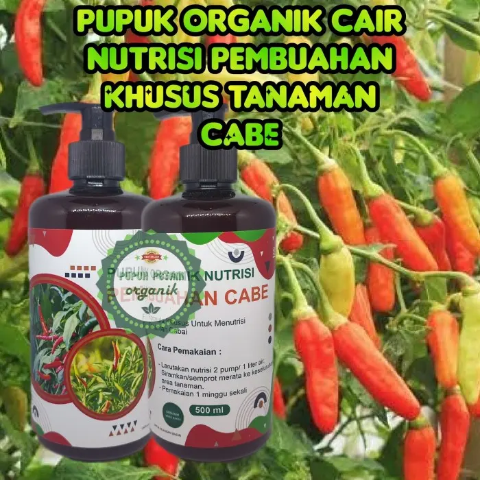 Pupuk Cabe Organik Cair Cepat Berbuah Lebat Nutrisi Tanaman Cabe Terbaru