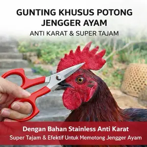 Gunting Potong Jengger Ayam Anti Karat Stainless Steel Super Tajam