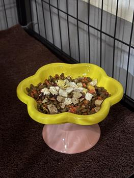 Product Review of Ceramic Flower Shape Cat Bowl Dog Bowl Larger Capacity Pet Feeding Water Bowl Anti-slip Cat Puppy Feeder Kitten Can Plate Easy To Wash from x**8 0