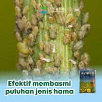 Gambar INFARM - Pestisida Avidor 100 gram Insektisida Hama Tanaman Padi Cabai Avidor Insektisida 100gr Pestisida Tanaman | Obat Hama Ampuh Padi, Cabai, Tomat, Sayur, Buah | Pengendali Ulat, Kutu, Wereng, Thrips, Lalat Buah | Pestisida Serbuk Pertanian Perkebunan dari Infarm Kota Surabaya 3 Tokopedia