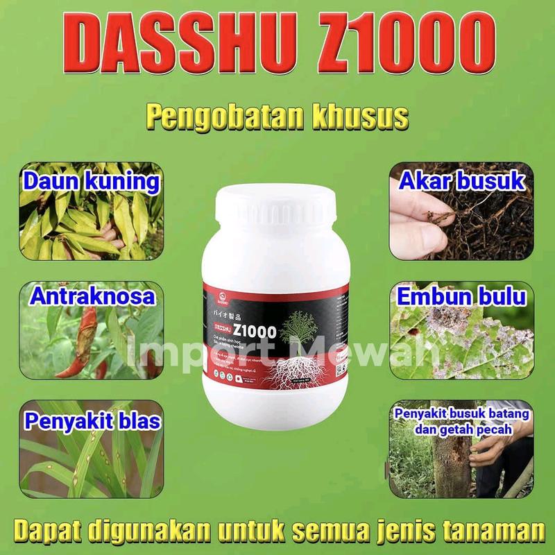 Pupuk DASSHU Jepang Z1000 1