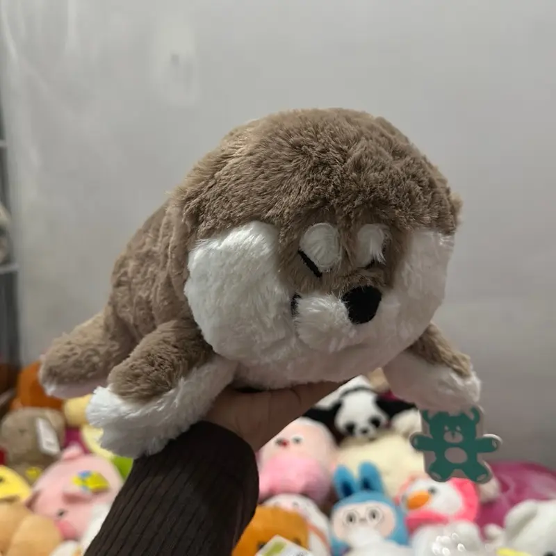 Dog coklat gembul tidur fc