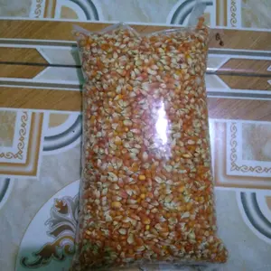 jagung super pakan merpati