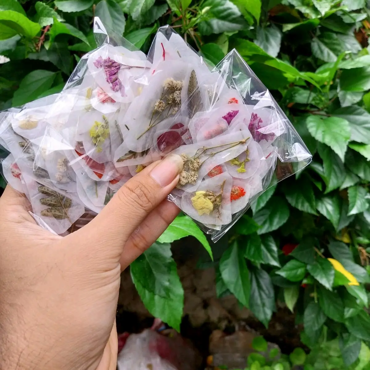 stiker bunga kering asli / dried flower sticker