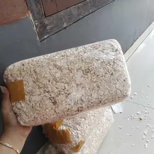 Serbuk Kayu Hamster Bebas Debu Serutan Halus Bedding Hamster Pupuk Marmut Landak Mini Tupai Gerbil