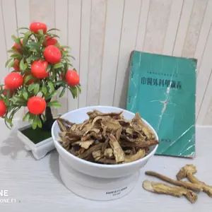 100gr Qin Jiao Largeleaf Gentian Root Gentiana Macrophylla