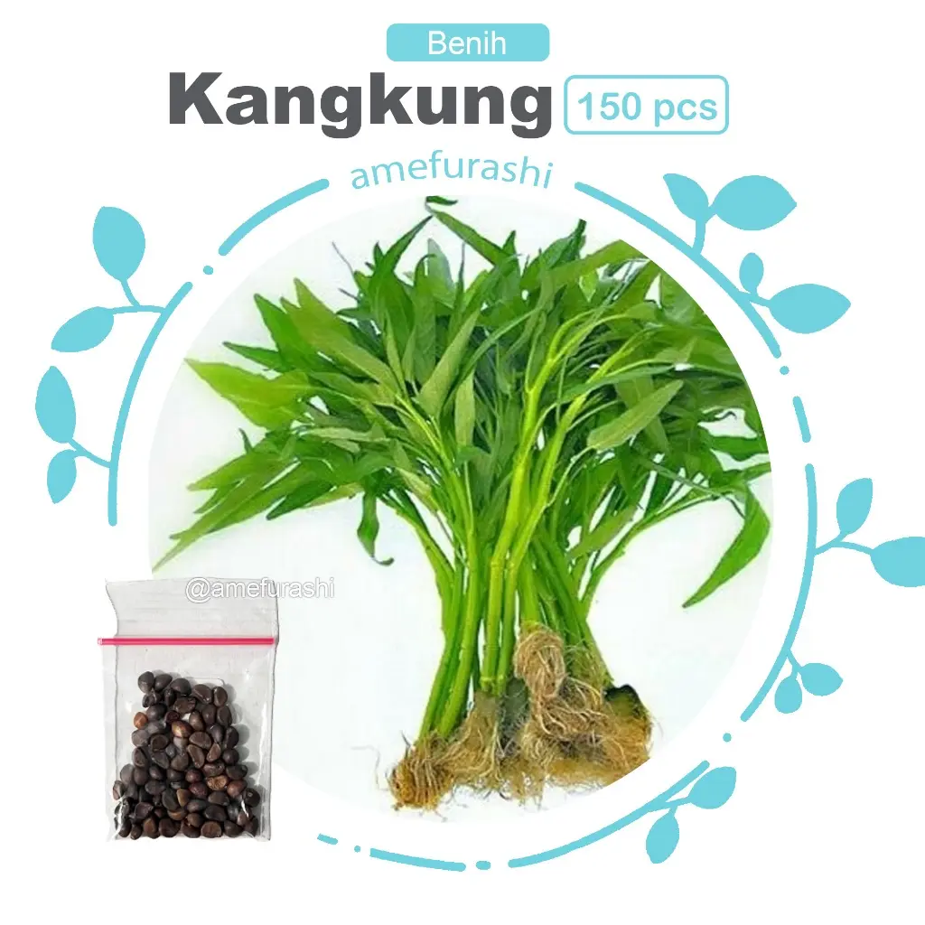 Kangkung 150 Biji