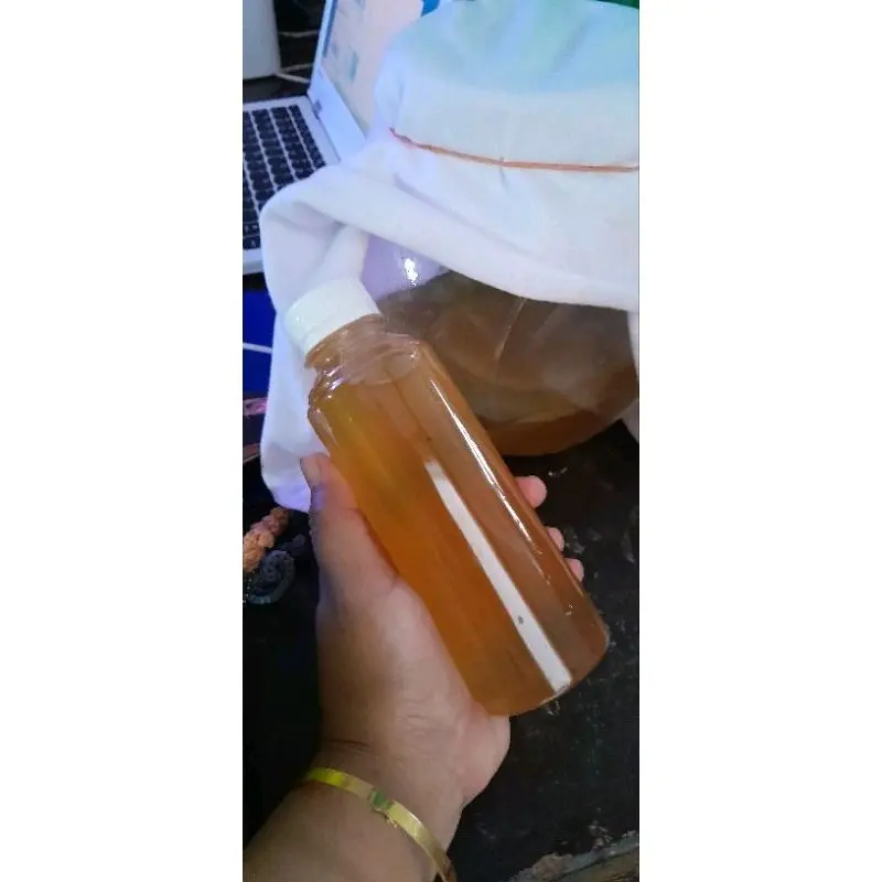 Teh Kombucha/Jamur Dipo Minuman Fermentasi 250ml - Serbuk, Bubuk, Gula, Air butiran green