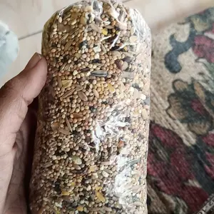 Makanan Hamster Paket Bundling Hemat Pakan Hamster mix 300gr Pasir Zeolit 500gr Serbuk kayu Hamster 300gr Kuaci Hamster 100gr