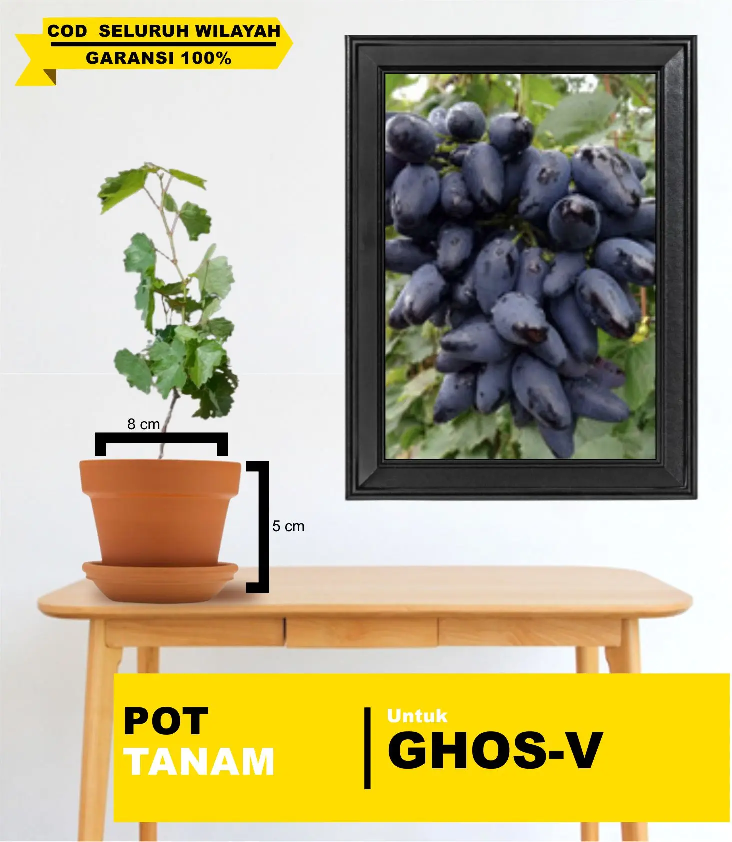 POT PLASTIK UNTUK TANAM GHOSV