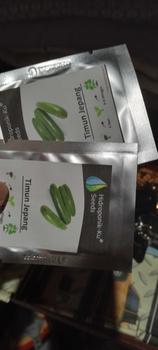 Product Review of Bibit / Benih Timun Jepang Import (25 Butir) Hidroponik Ku from A**i 0