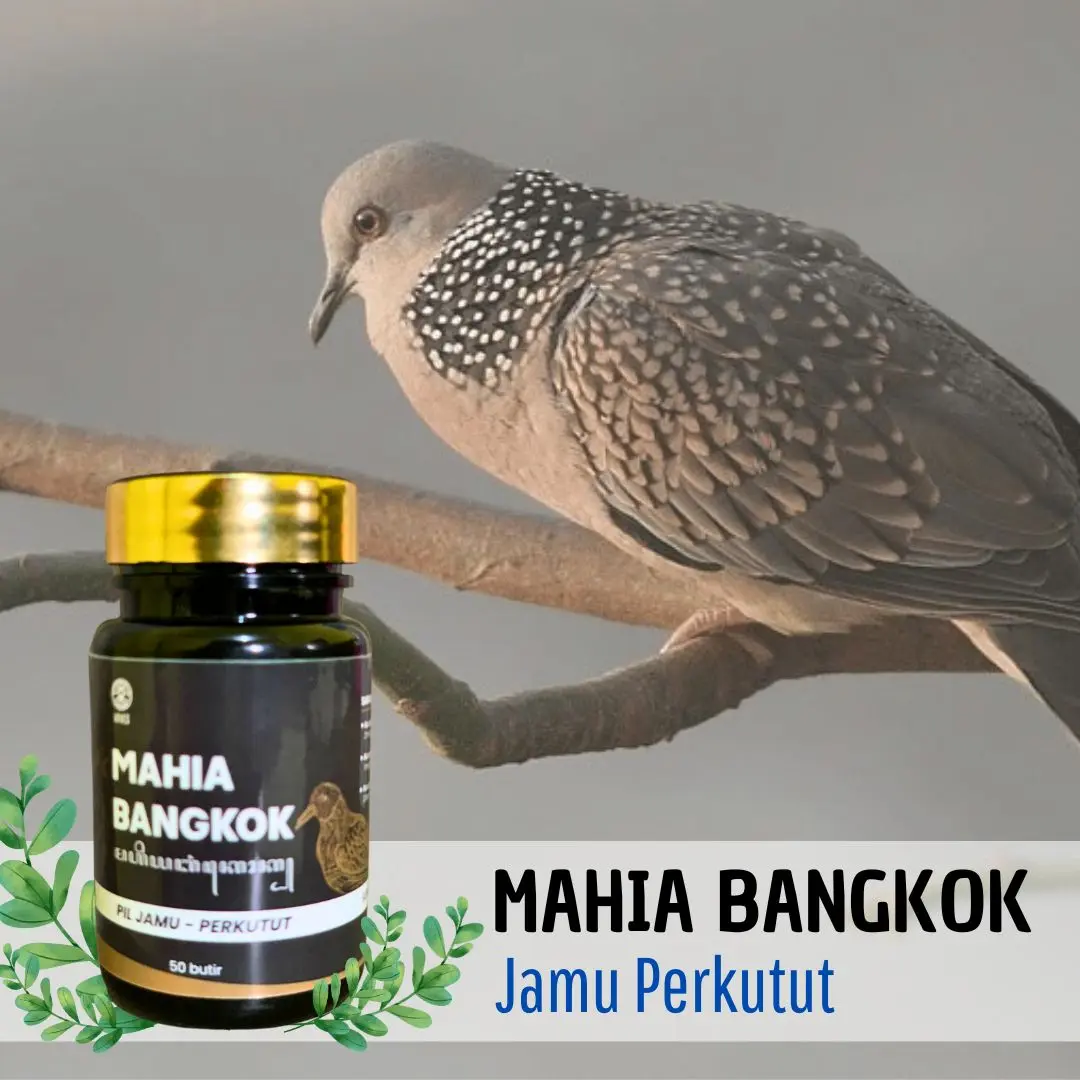 MAHIA BANGKOK - Multivitamin untuk Perkutut, Tekukur, Dekukur, Katuranggan, Lokal Jadi GACOR Manggung Merdu, Jernih dan Bersih Tiap Hari