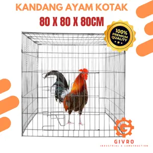 Kandang Ayam Kotak Galvanis 80 x 80 x 80 CM